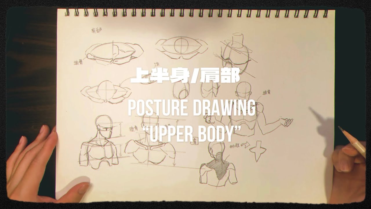 人體結構 上半身的速寫練習 1 Posture drawing “upper body”  