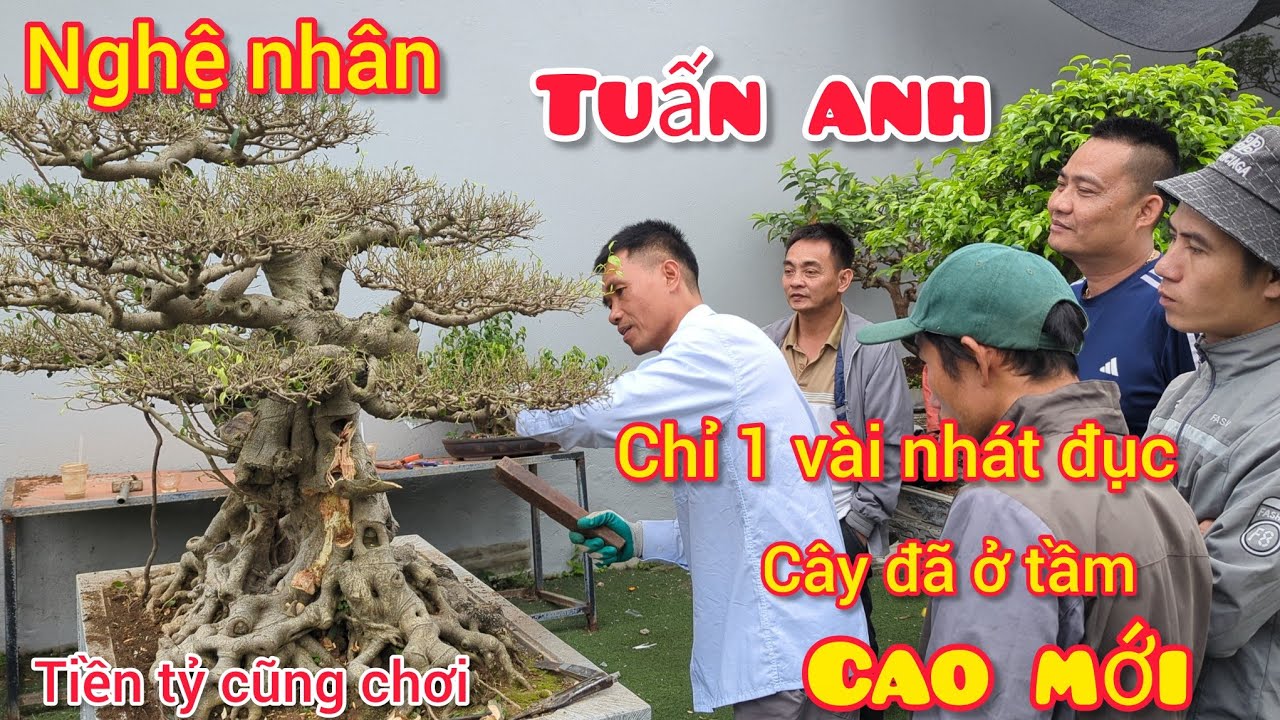 Xem cách nghệ nhân tuấn anh sử lý cây bị lỗi thành cây đẹp giá trị rất cao chỉ trong 1 vài nhát đục 