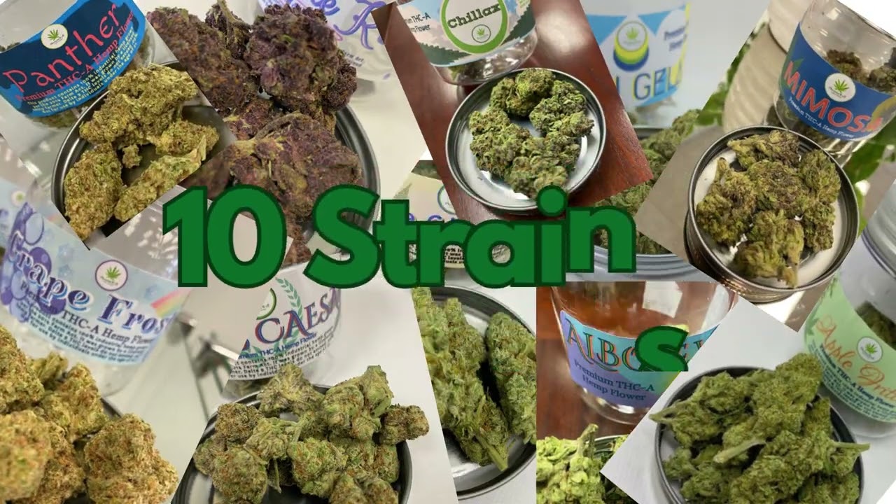 THCA Flower: Experience Wellness and Relaxation with these Strains