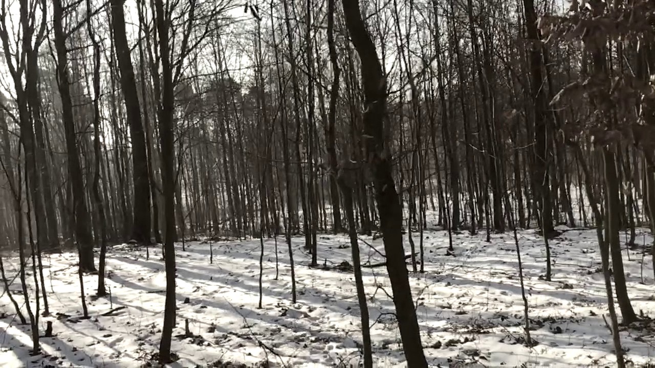 Winter Lessons
