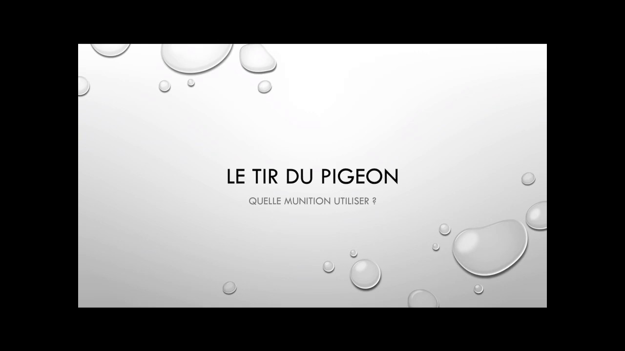 Quelle munition pour le tir du pigeon ?