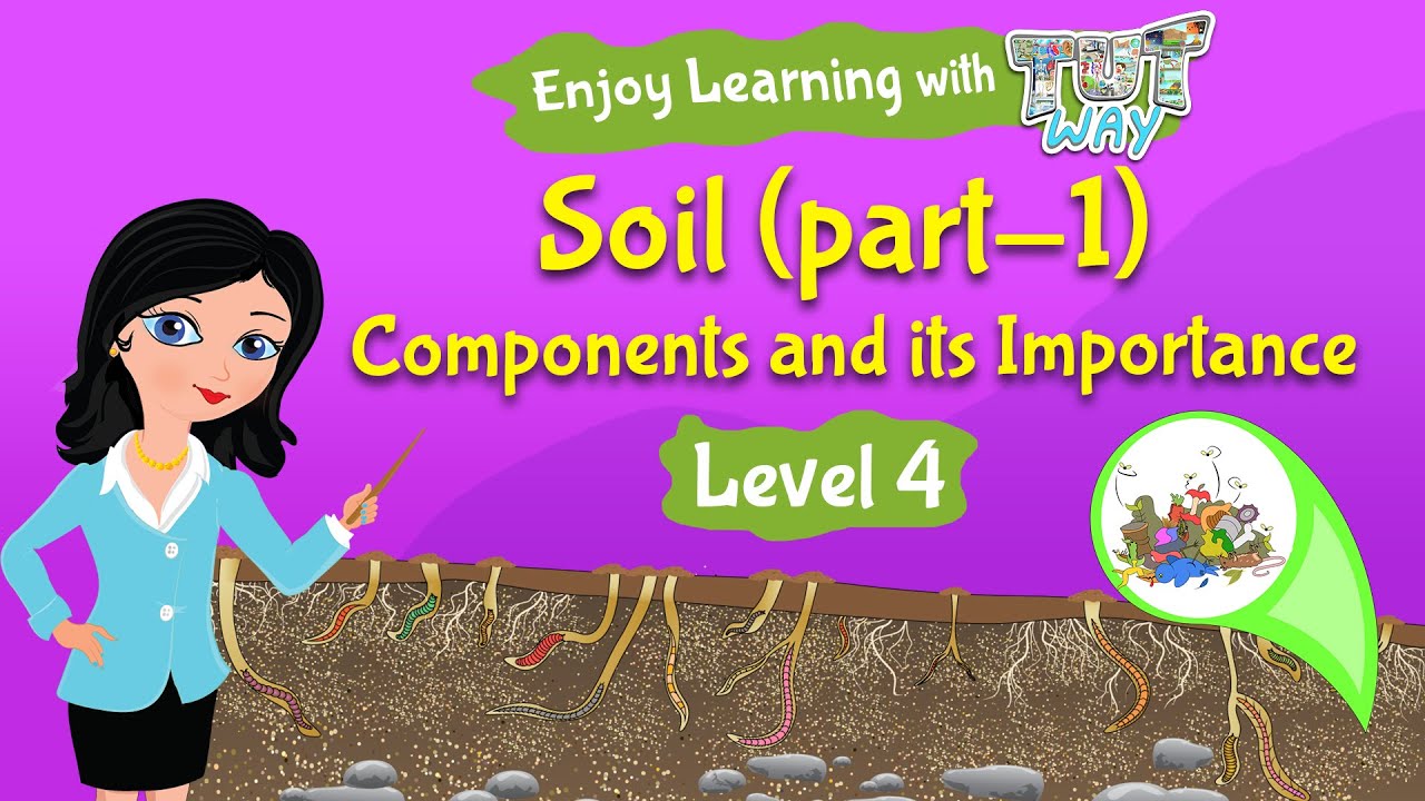 Components of Soil | Science | Grade 3 & 4 | TutWay