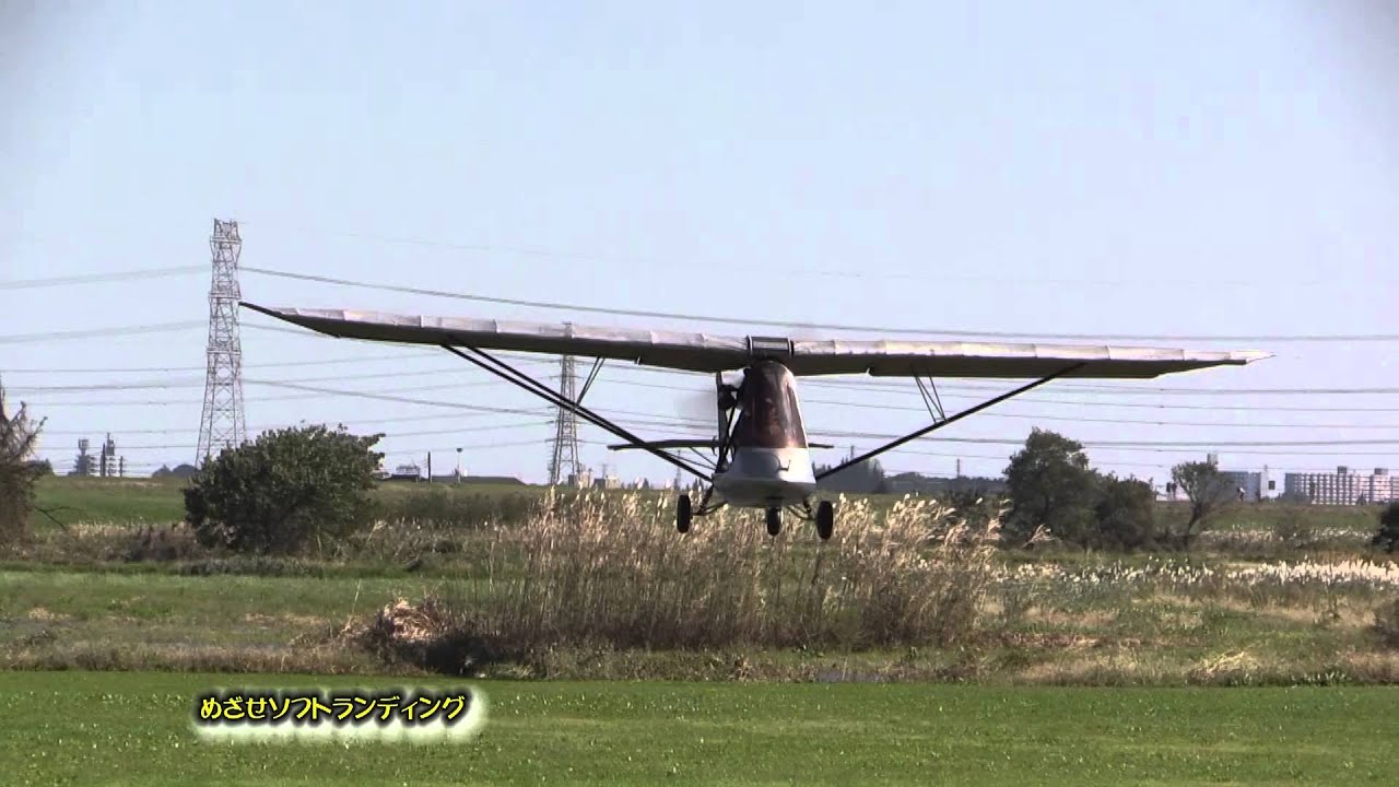 埼玉フライングクラブコスモス祭り２０１３風ニモマケズ