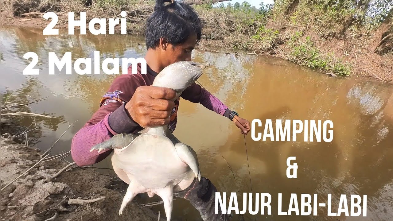1 HAL INI BISA BIKIN GAGAL BERTAHAN HIDUP DIHUTAN!! @junglerlamandau 