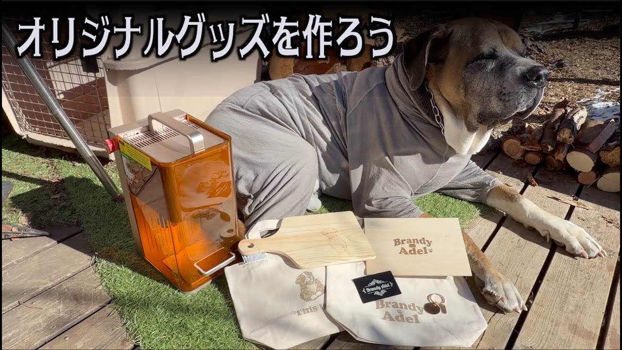 レーザー彫刻機買ったよ！