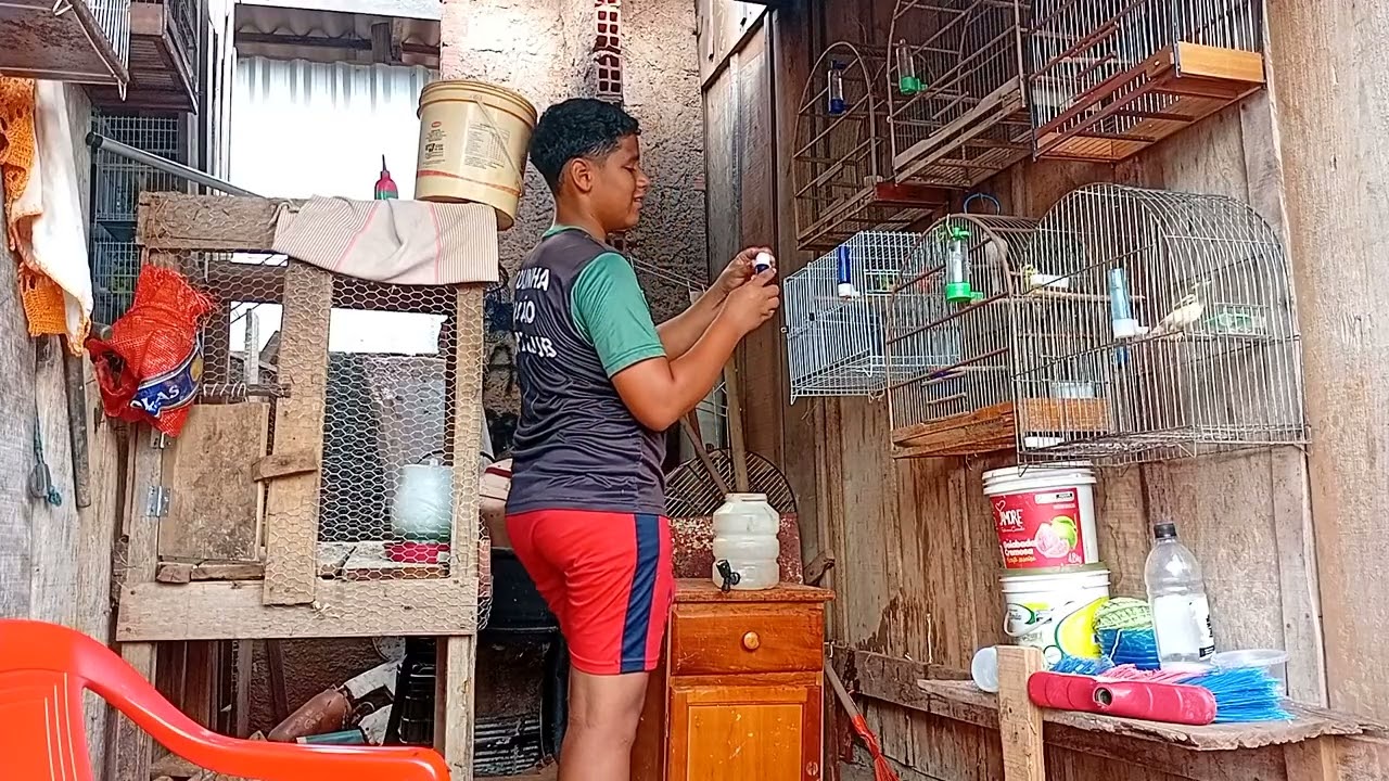 Mais um dia