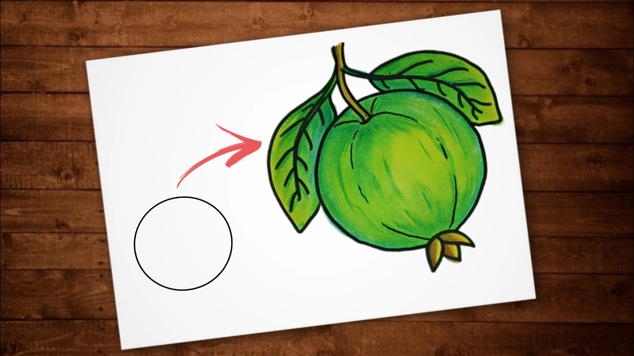 Easy Fruit Drawing Step by Step | How to Draw Guava | अमरूद का चित्र