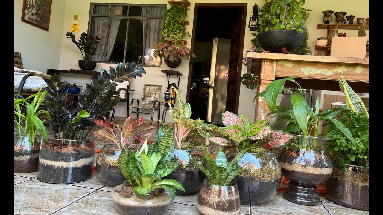 ARRANJOS NATURAIS. CUIDADOS PARA MANTER O BRILHO E A SAÚDE DAS PLANTAS.. Ateliê Florescer