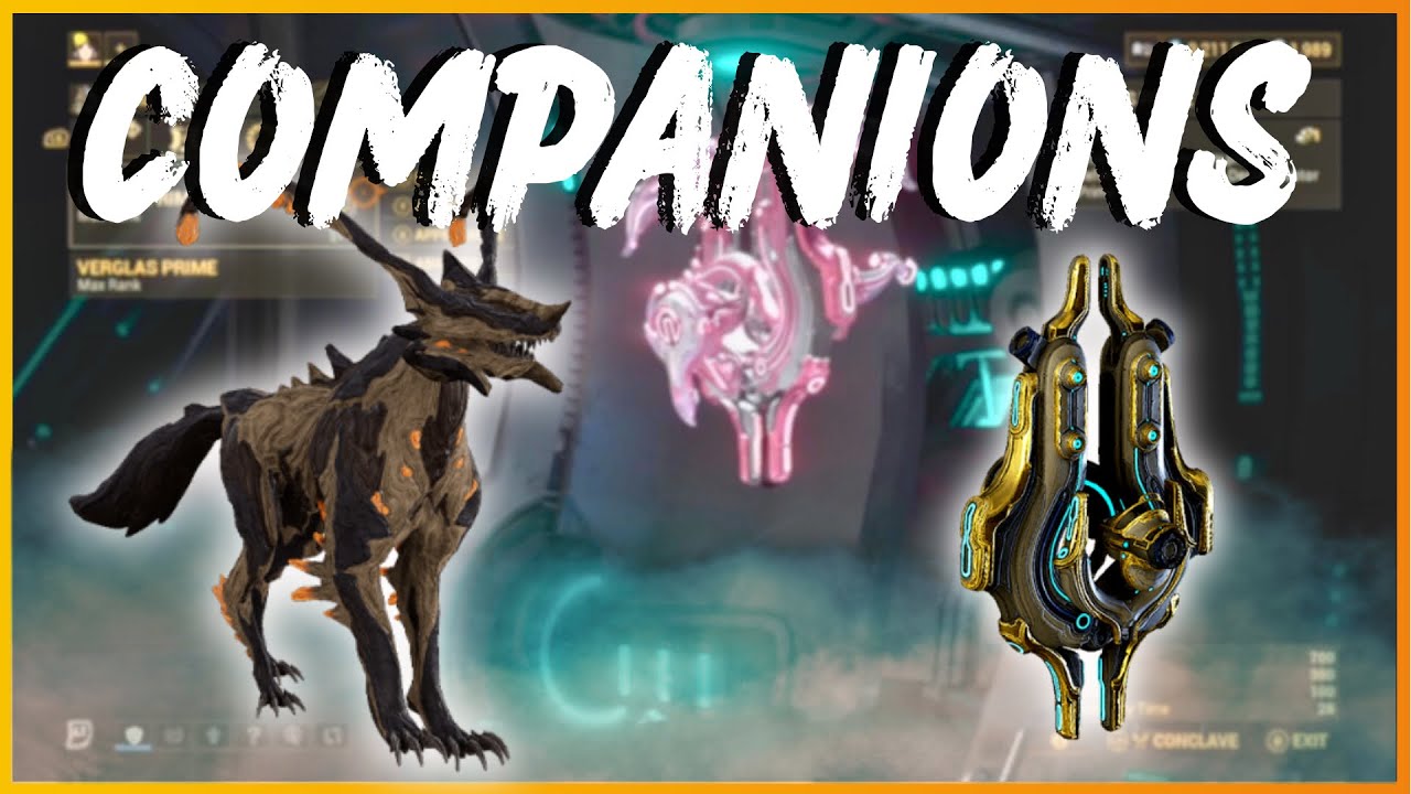 How To Build Your Companions in Warframe