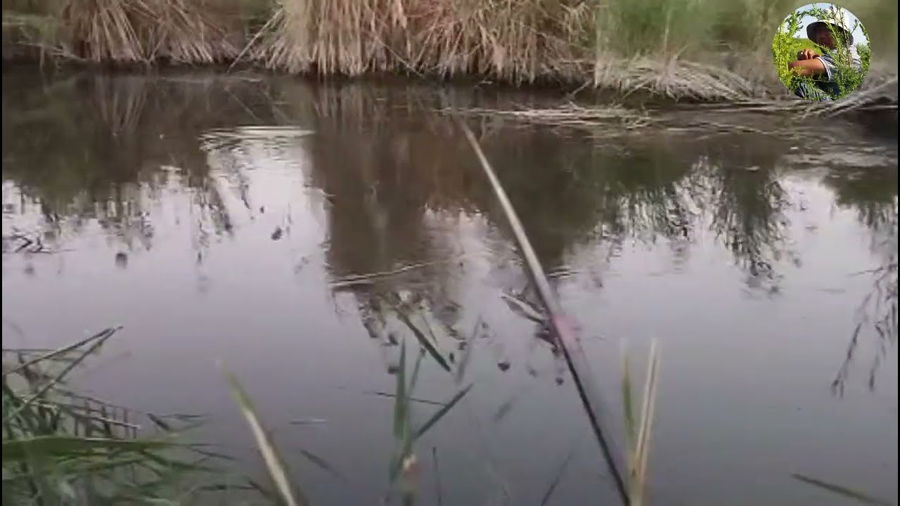 Бугунги овимиз яхши булди куринг зерикмайсиз. 