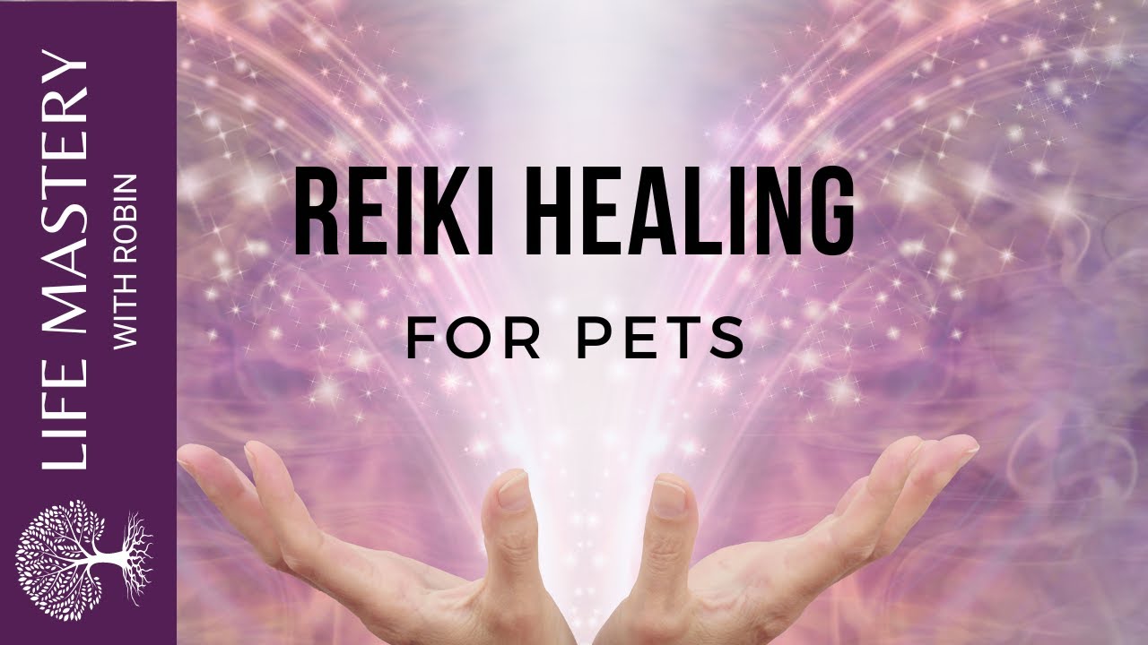 Reiki Healing   Healing Dogs and Cats with Sound Music