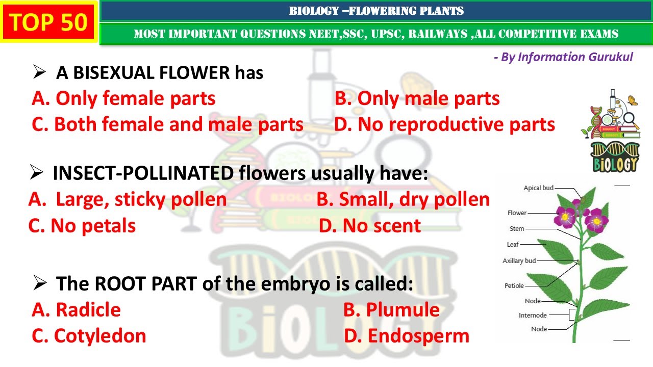 Botany| Flowering Plants | Chapter wise Important MCQs for all Competitive Examinations| Biology MCQ