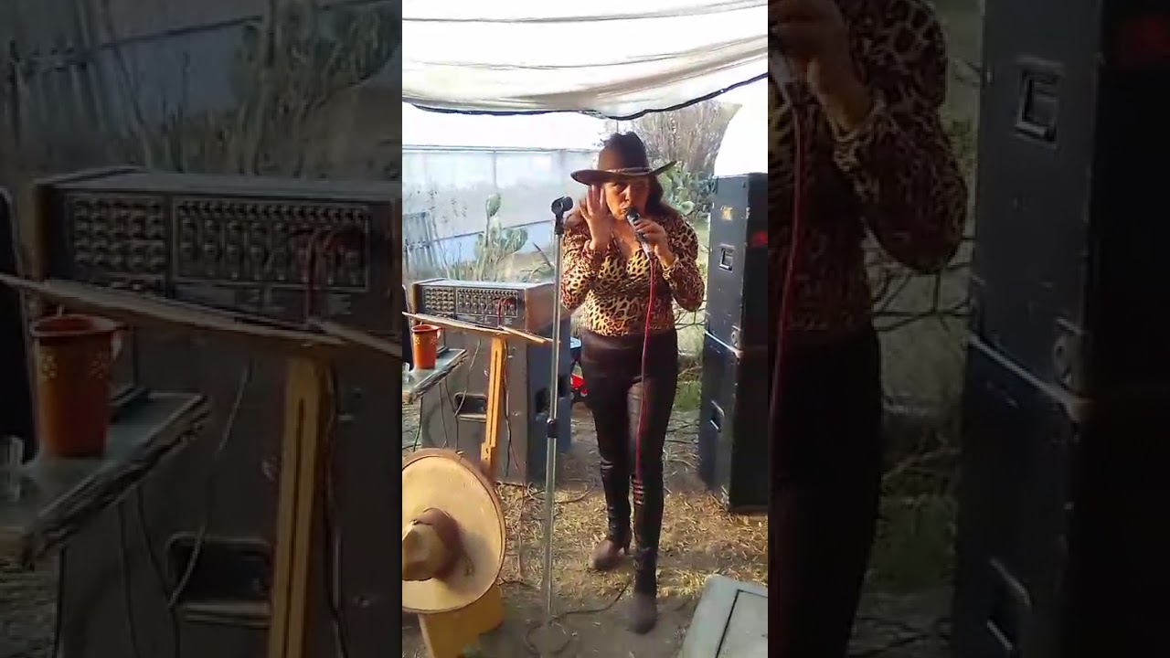 Cien años de la Guerra Cristera: Valentín de la Sierra