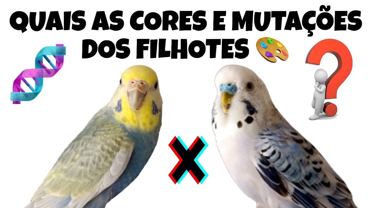 Arco-íris x corpo claro do texas | Quais mutações vem?