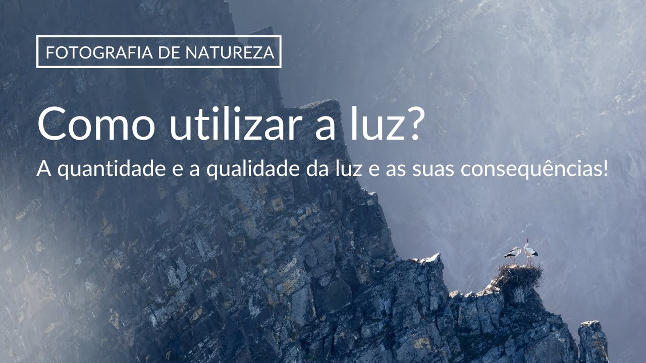 Fotografia de NATUREZA | A importância da quantidade e qualidade da luz