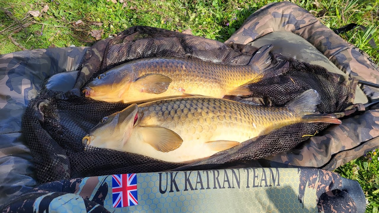 Carp fishing. Carp madness !!