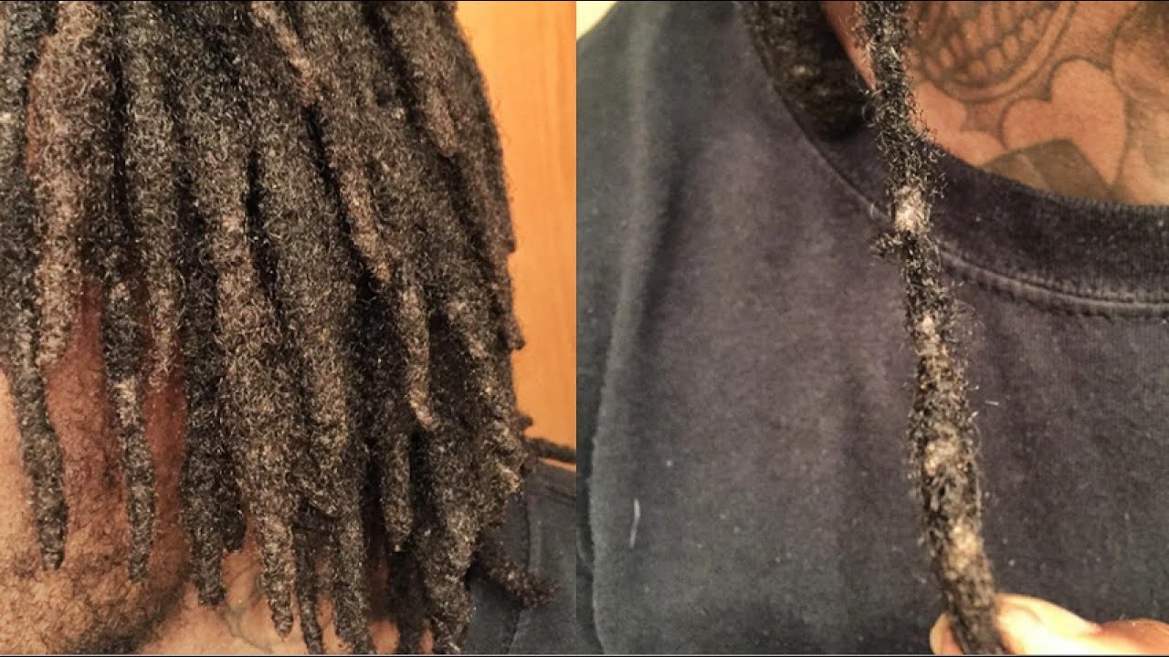 DREAD ROT HELP!?