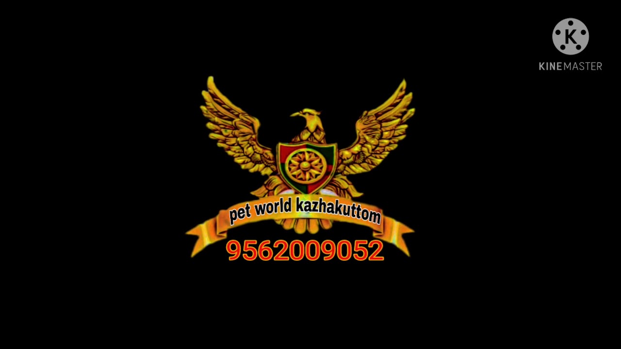 pet world kazhakuttom