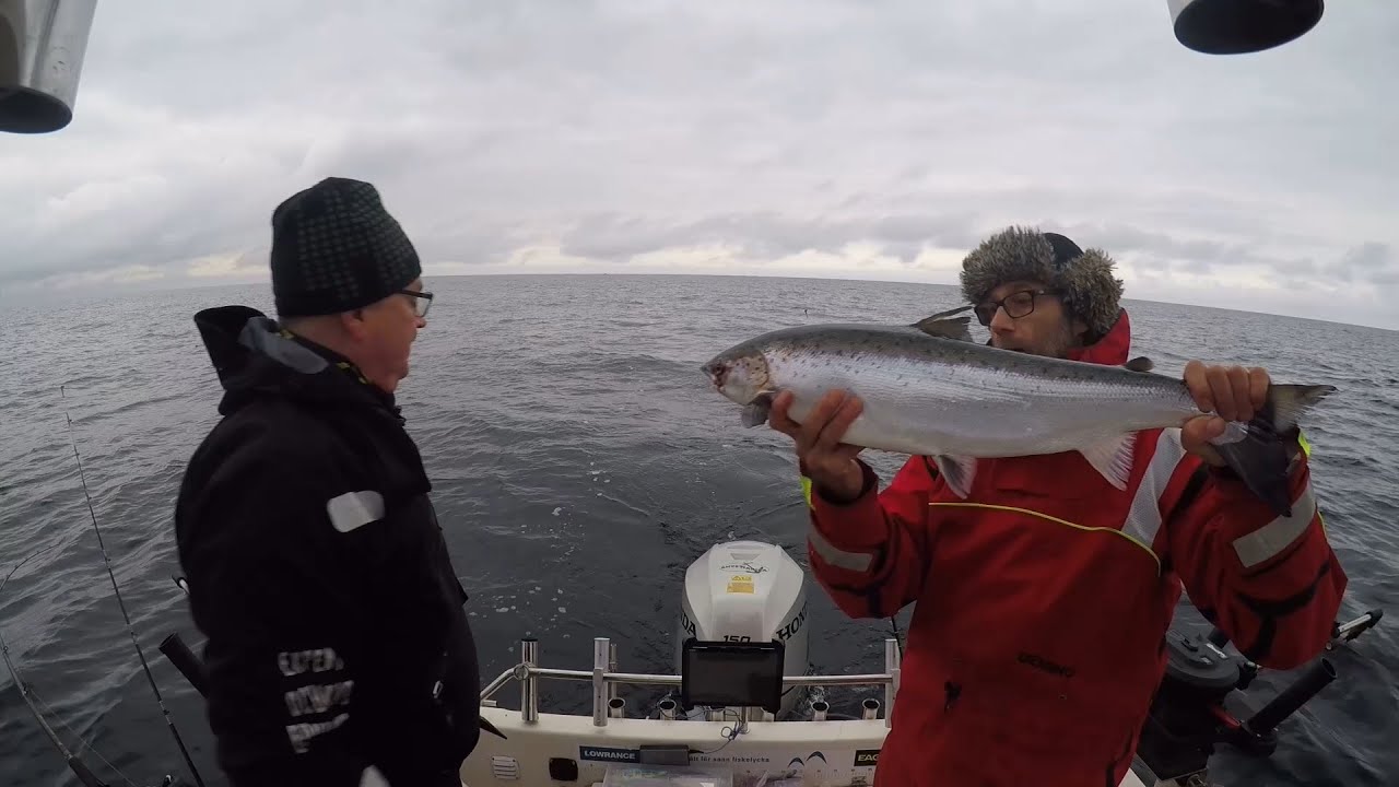 Simrishamn trolling 24/1 2021