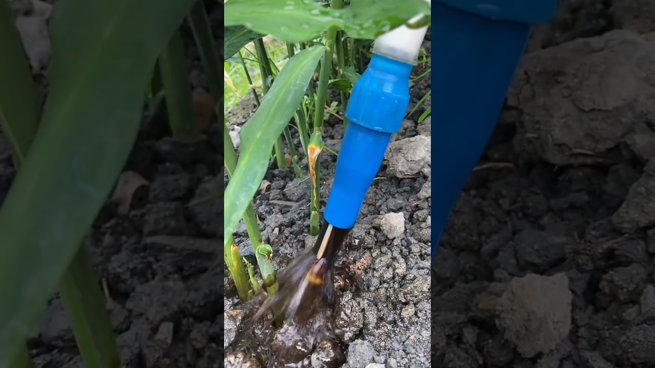 Great Tools For Liquid Fertilizer #satisfying #shot
