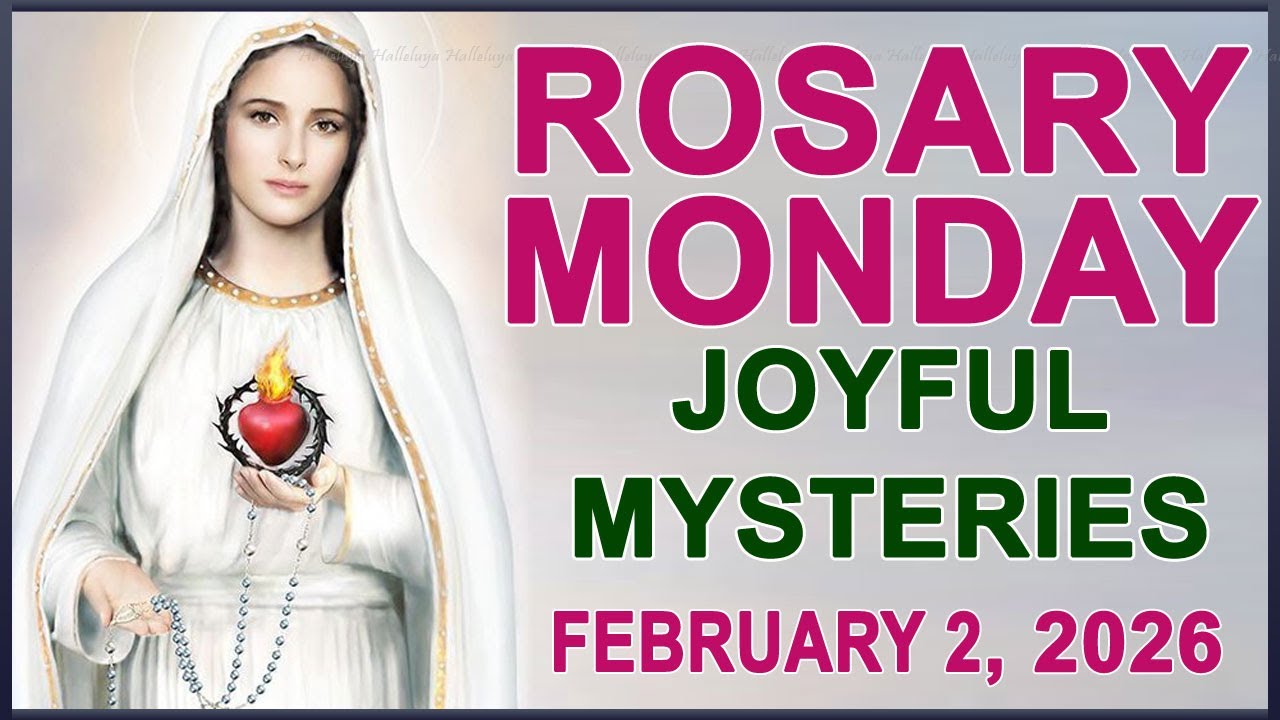 The Rosary Today I Monday I February 2 2026 I The Holy Rosary I Joyful Mysteries