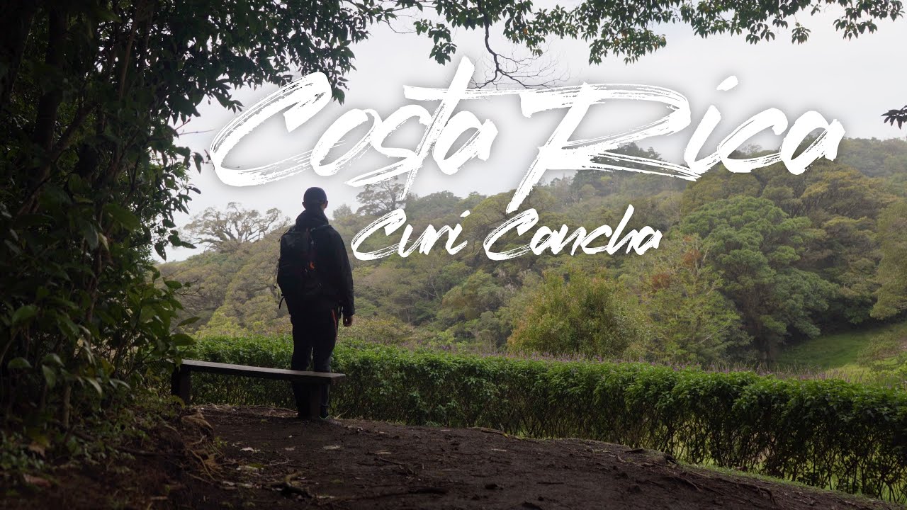 Costa Rica - hiking Curi-Cancha Reserve rainforest, Monteverde