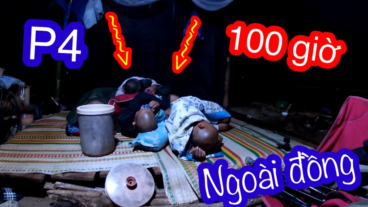100h Tìm Kiếm Thức Ăn Ngoài Đồng - Trận Mưa Đêm Giúp Team Bội Thu | Son Duoc Vlogs