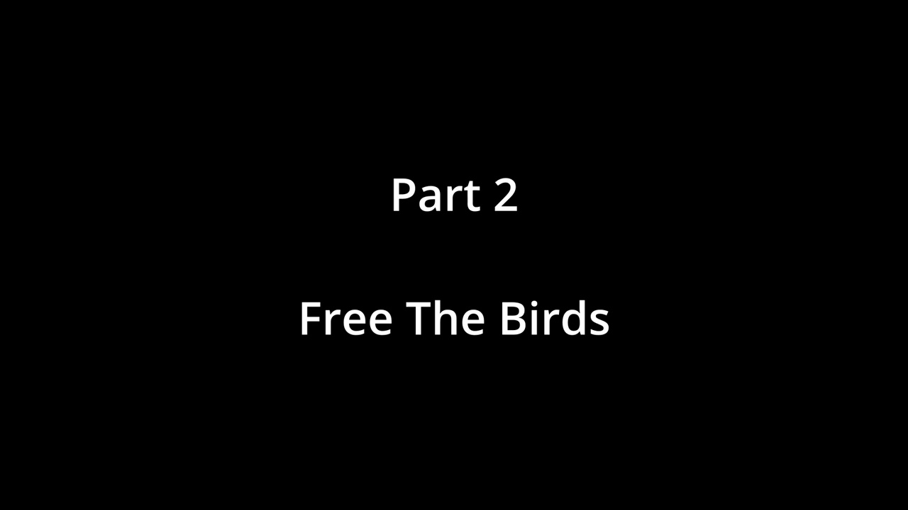 Free The Birds