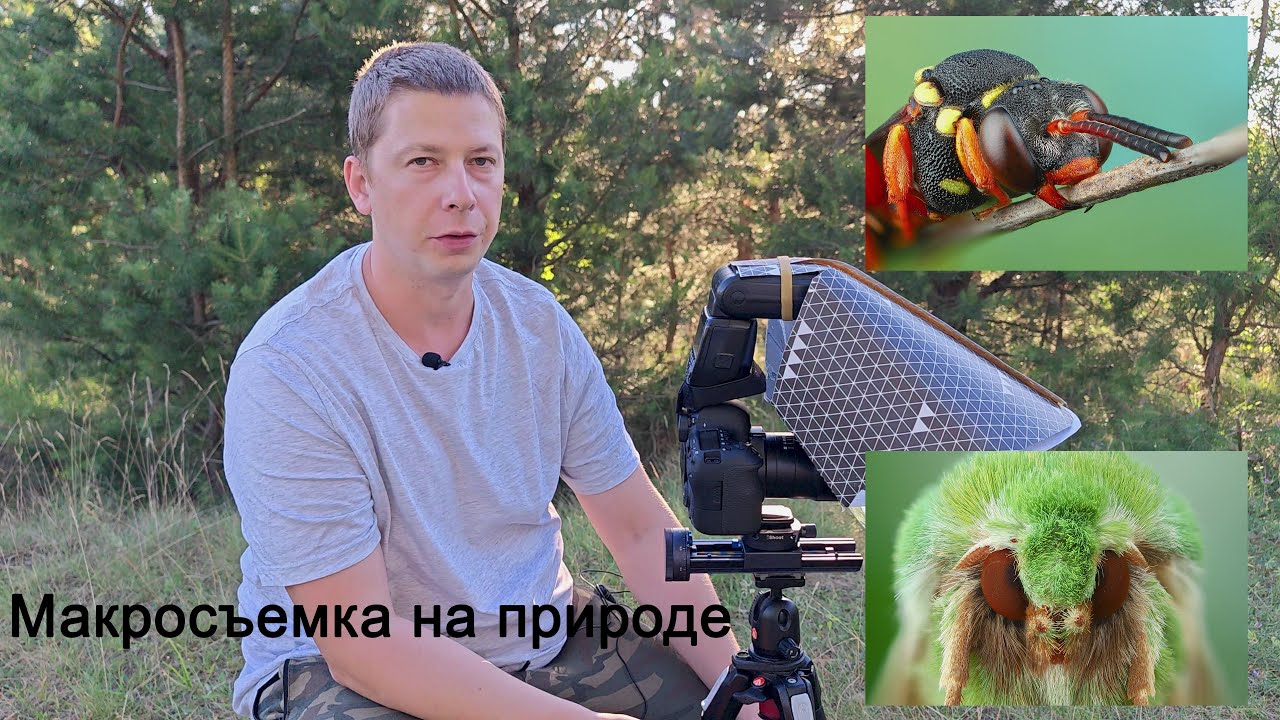 Съемка макро на природе