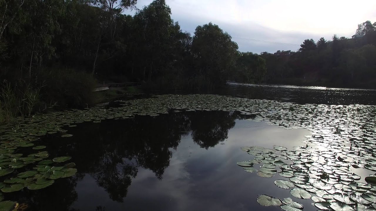 Barwon River, Geelong in 4K