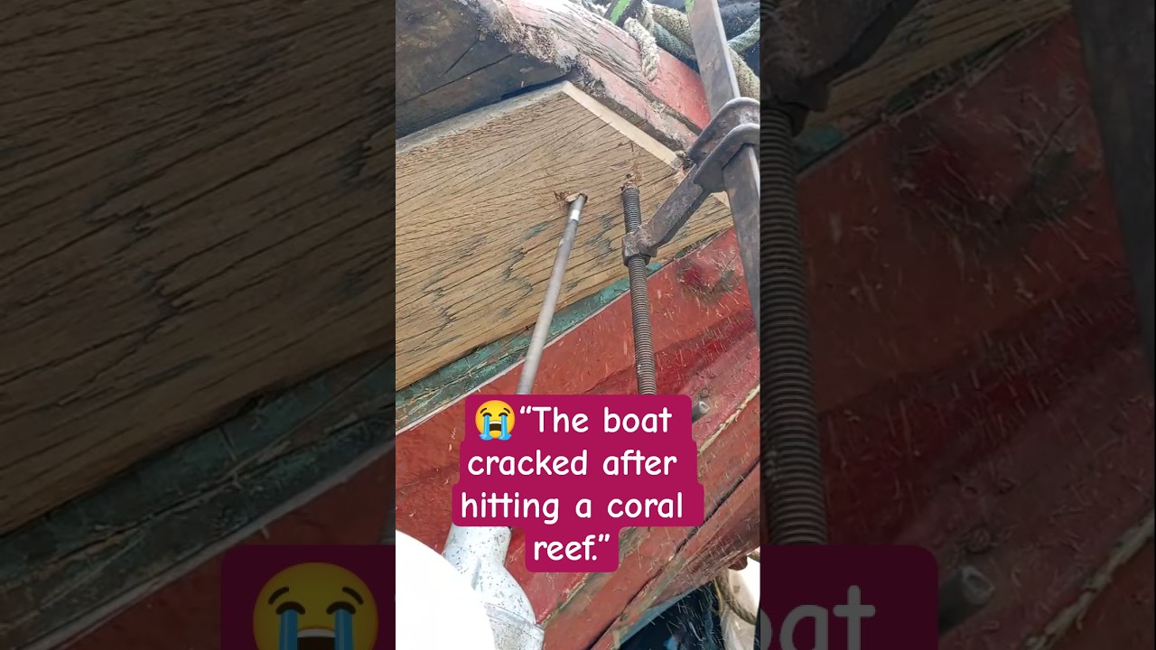 “The boat cracked after hitting a coral reef.”