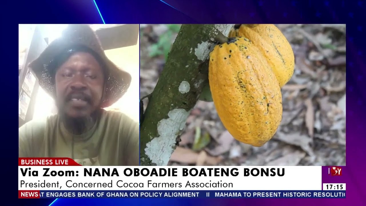 Cocoa Sector Reforms: President Mahama appeals to farmers to accept new policy directive