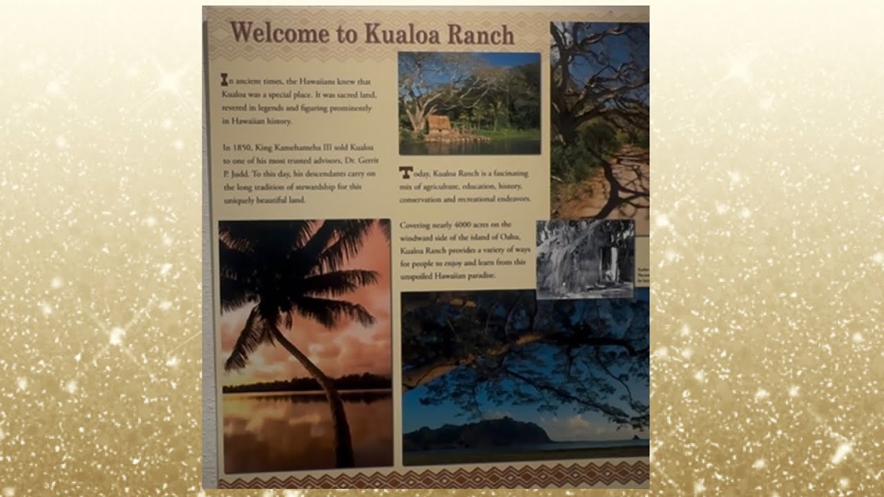KUALOA RANCH MOVIE SITES AND RANCH TOUR|VISIT ICONIC FILMING SPOTS|HISTORIC WWII BUNKER|HI