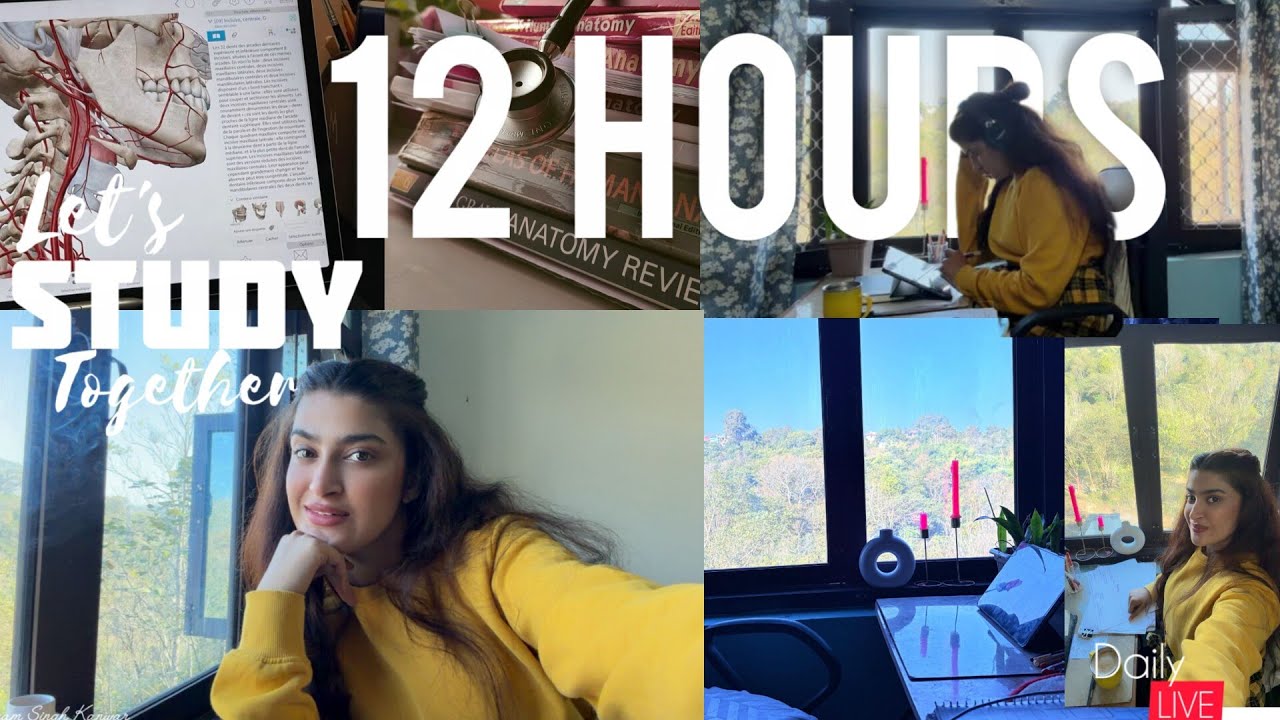 ⭕LIVE|12HOURS⏰🎯|STUDY WITH ME📚Deep Focus session📈☃️🥶cozy🪵🔥 Fireplace|🟤🧸brown noise Ambience|NEETPG