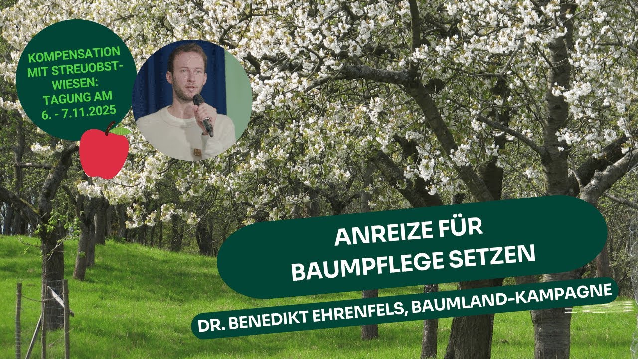Anreize f&uuml;r Baumpflege in den Verfahren setzen: Dr. Benedikt Ehrenfels (BaumLand)