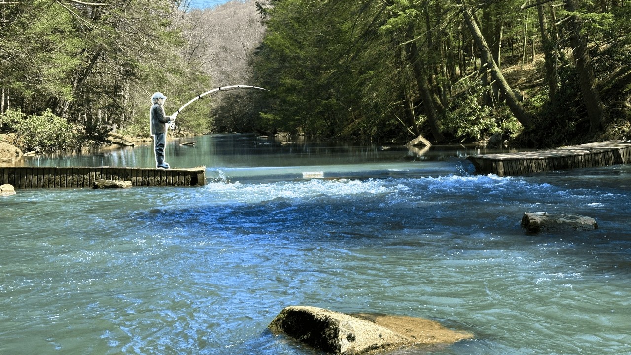 You Won't Believe the Fish I Caught in This River That I Payed $ to fish! (Worth It?)