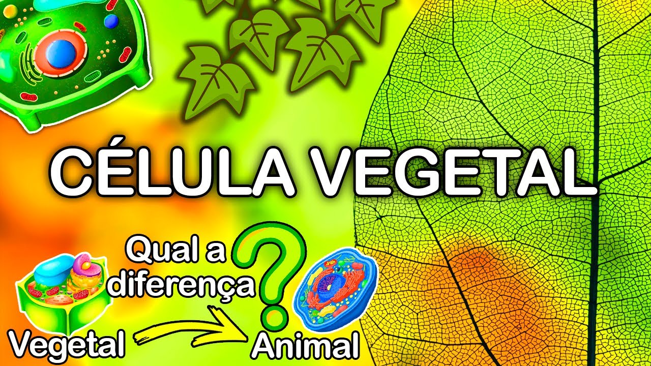 Conheça de vez uma CÉLULA VEGETAL