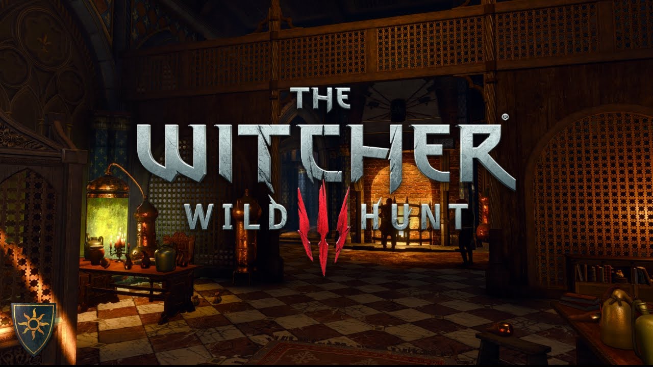 A Political Conversation With Ambassador var Attre: A Witcher 3 ASMR Ambience