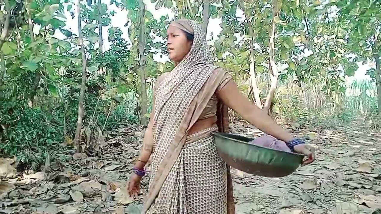 गांव का जीवन में 