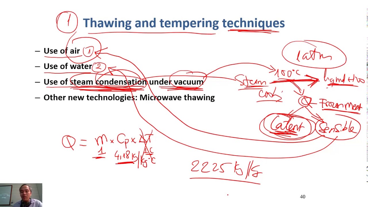 C6-11 meat thawing - by use of air, by use of water| Meat Technology
