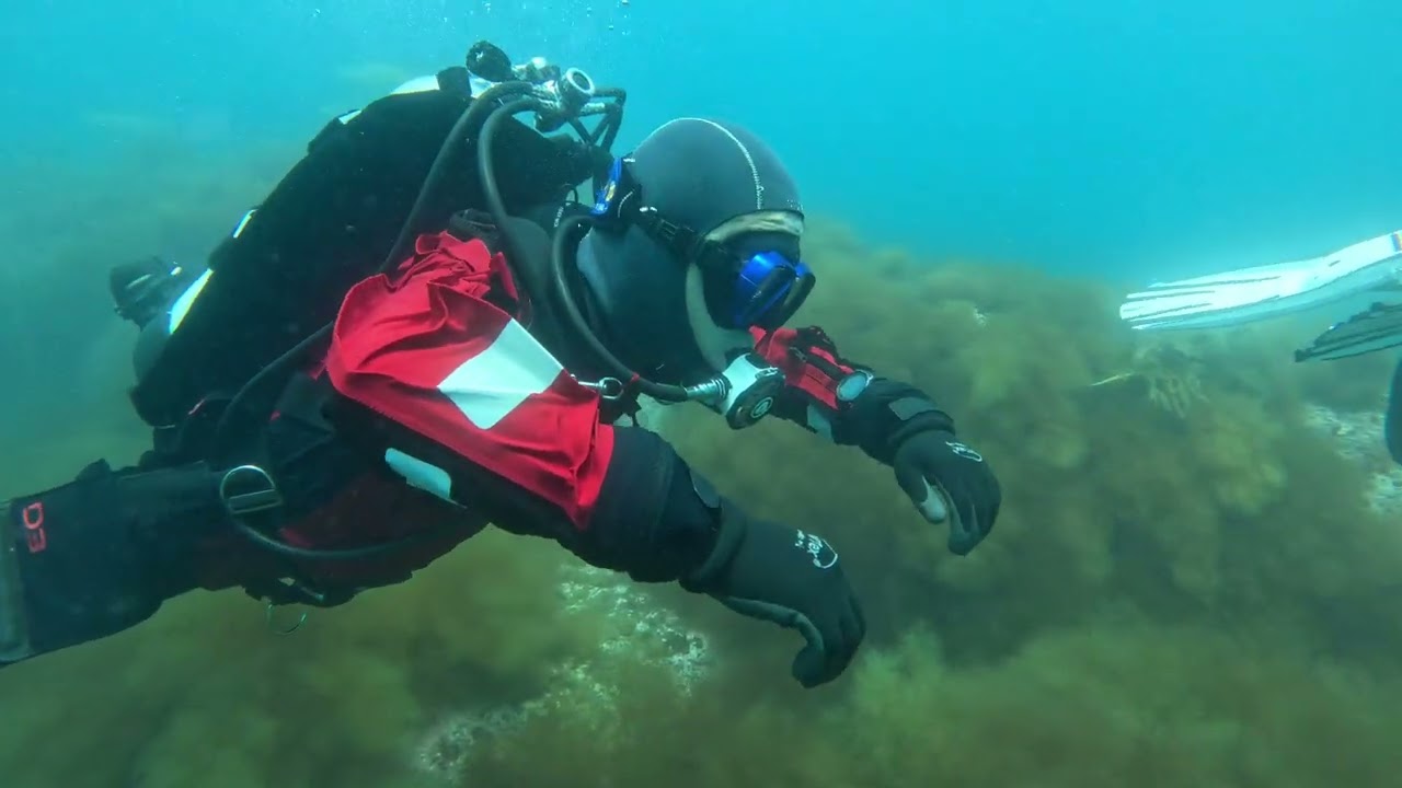 멸치떼와 함께 !! 아야진다이브리조트 / BSD 스쿠버//scubadiving/스쿠버다이빙