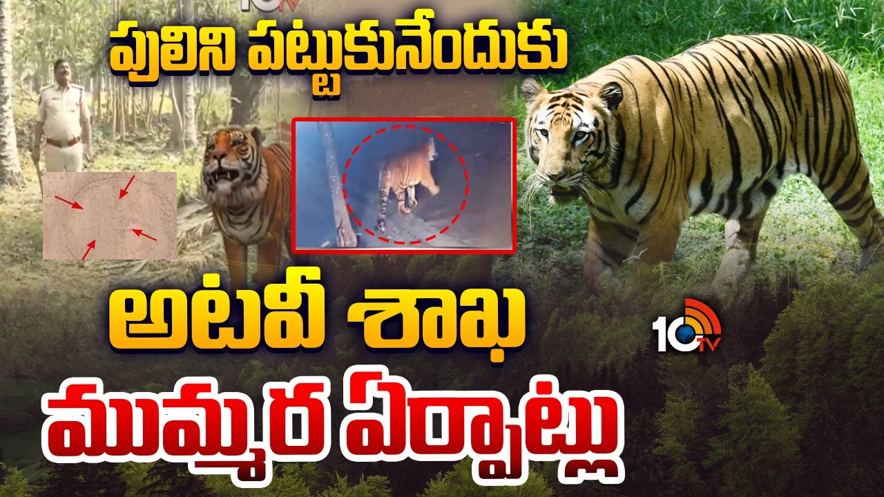 Forest Department Arrangements to Capture Tiger | పులిని పట్టుకునేందుకు అటవీ శాఖ ముమ్మర ఏర్పాట్లు |