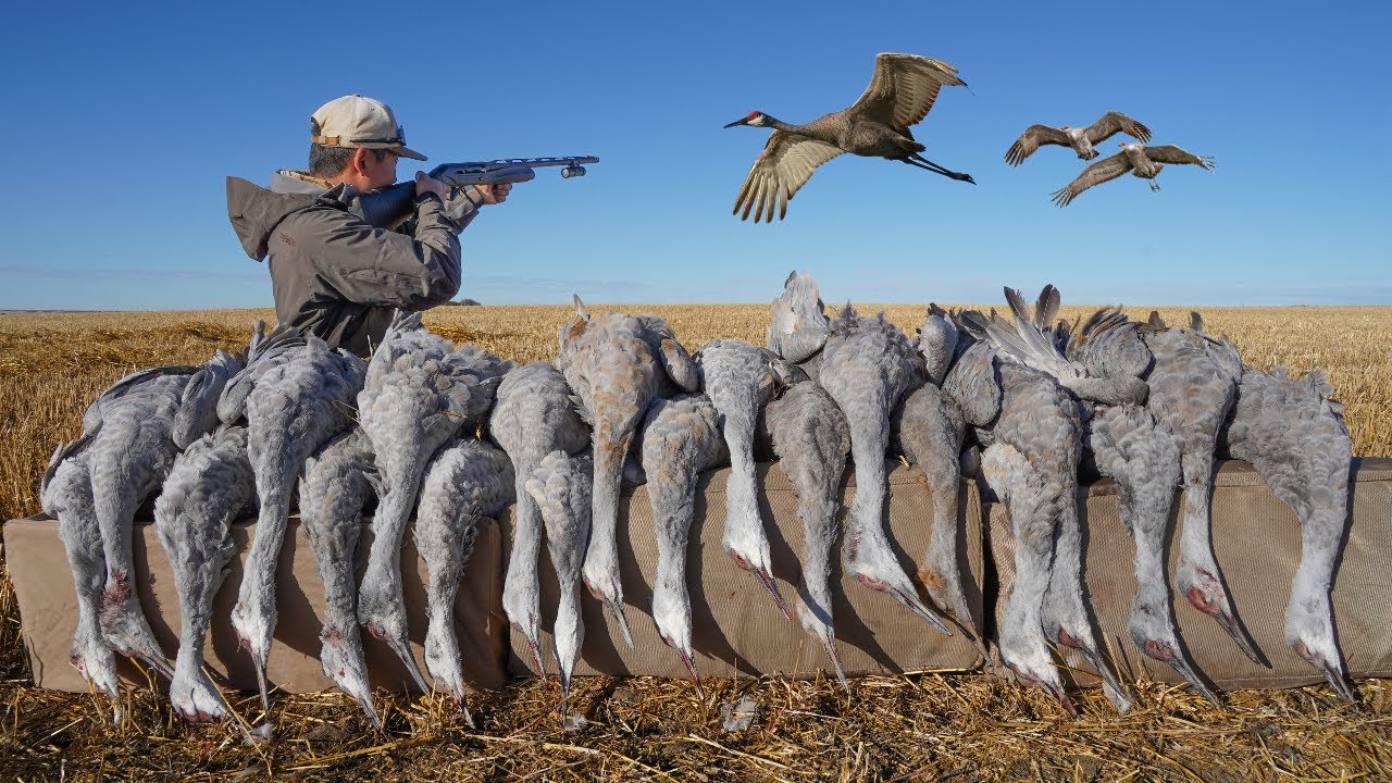 INSANE Hunting GIANT PTERODACTYL Cranes! (WE SHOT A BAND)