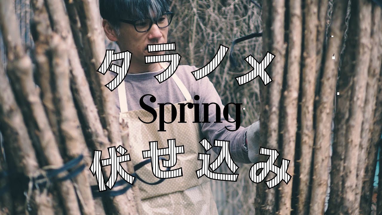 タラノメ伏せ込みの春[#029]