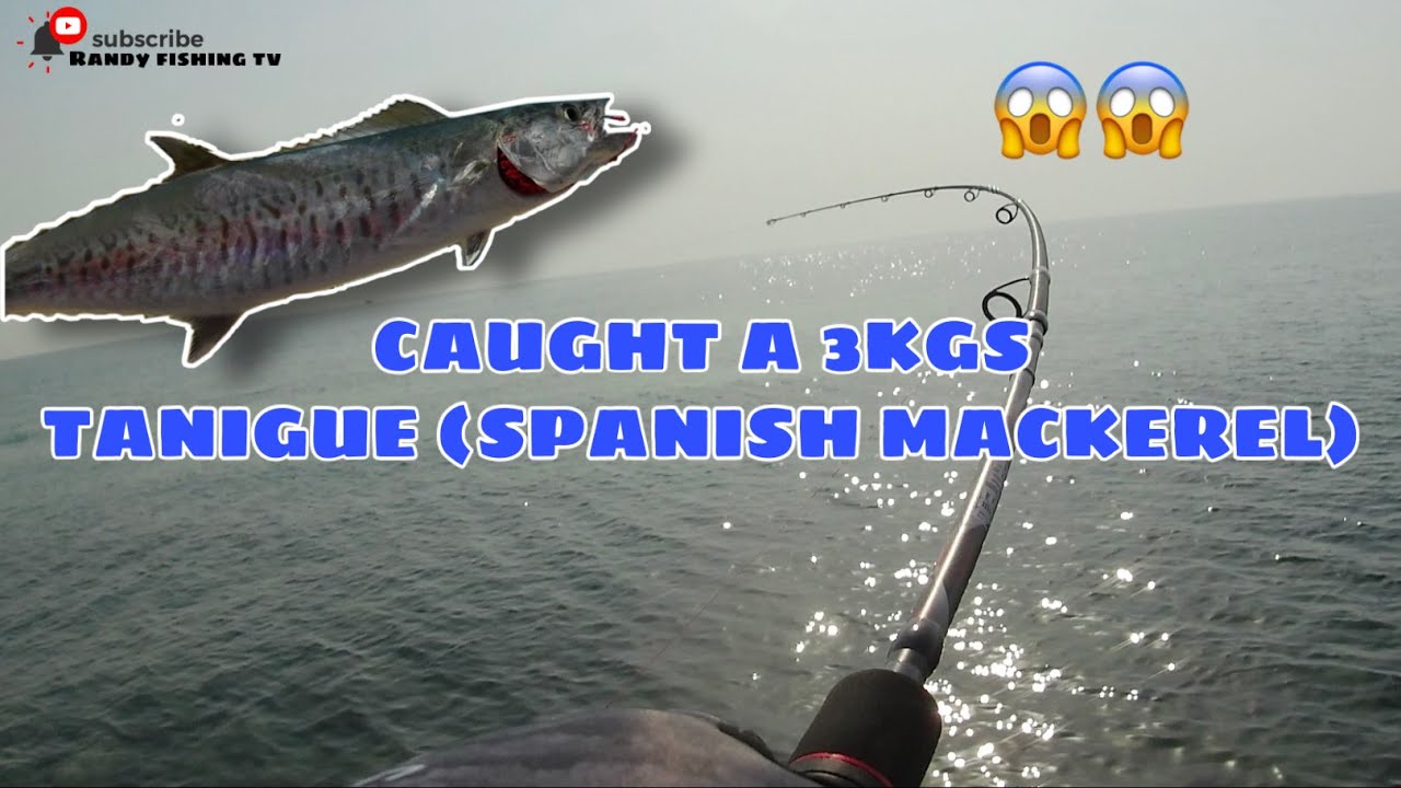 Caught a 3kgs Tanigue (Spanish Mackerel) || Randy Fishing TV