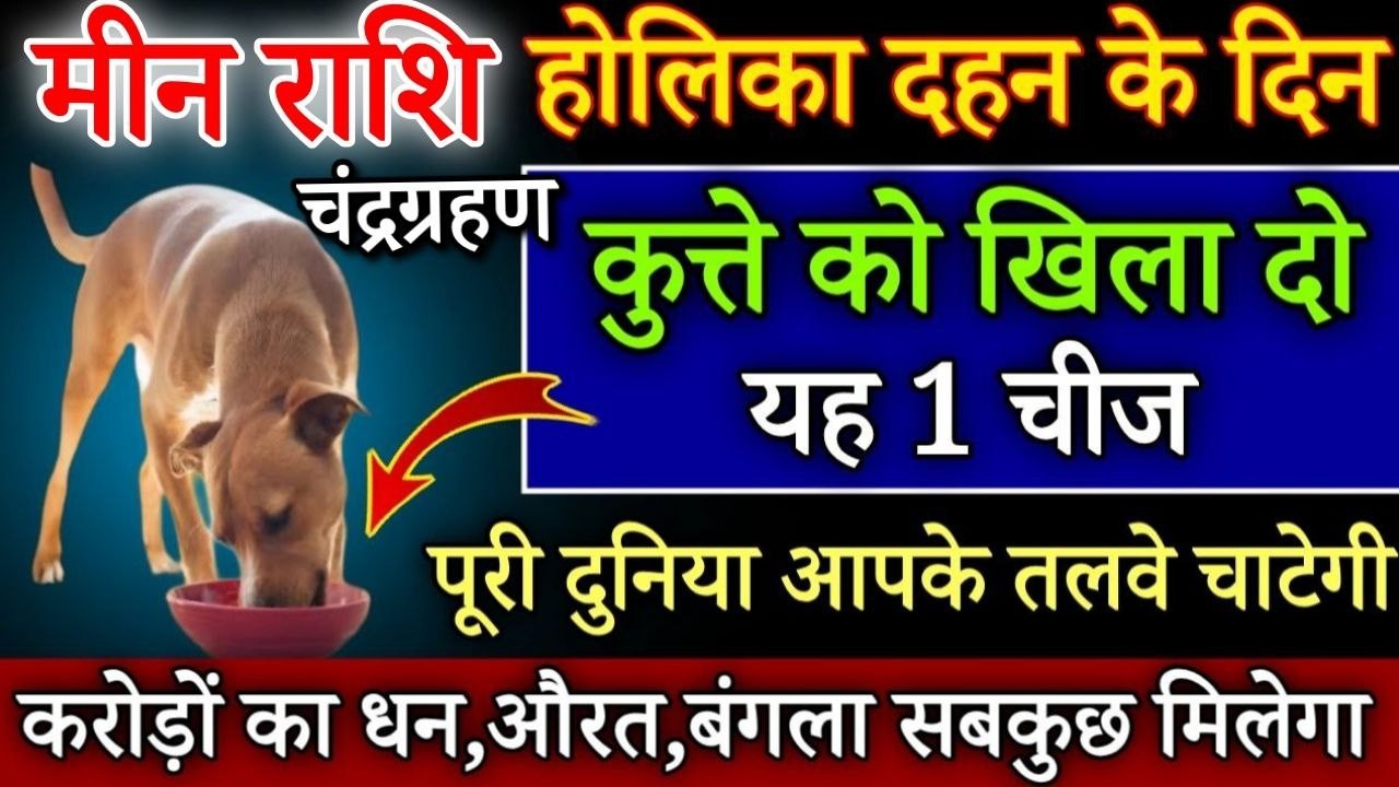 मीन राशि 3 मार्च चंद्रग्रहण के दिन कुत्ते को खिलादो 1 चीज बिना कुछ करे सात पुश्ते धन खाएगी/#Meen