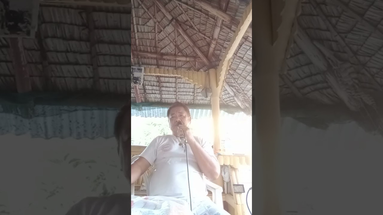 I don't wanna talk about it covered by Juanito Cariño 