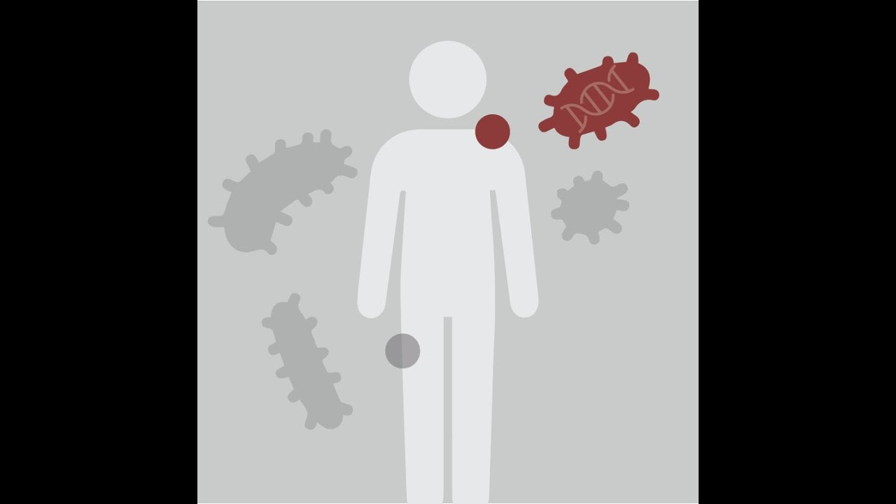 Beginner Microbiome Analysis 2024 | 03: Microbiome Statistics and Visualizations