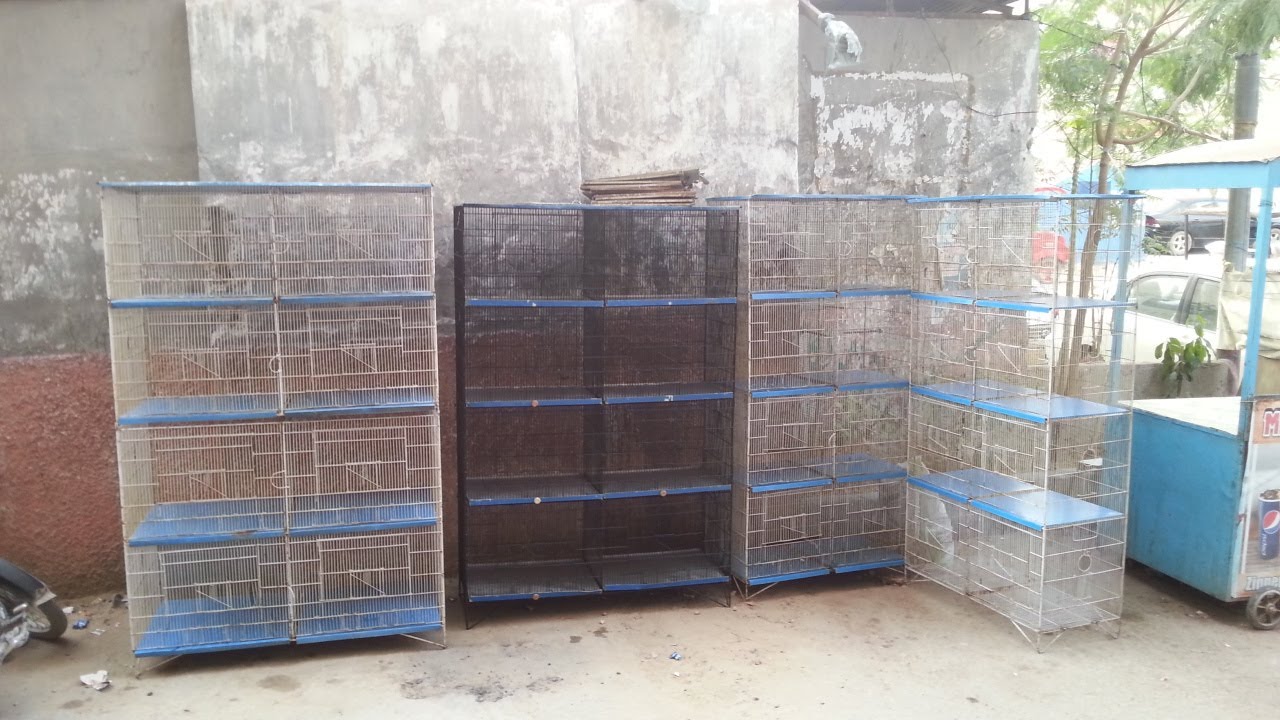 Used Cage Shop in Karachi
