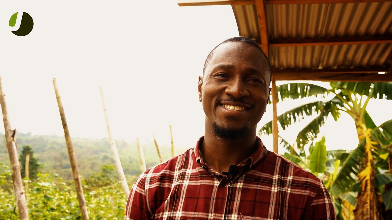 How to Thrive as a Farmer | Story of a Nigerian Farmer | Little Big Businesses